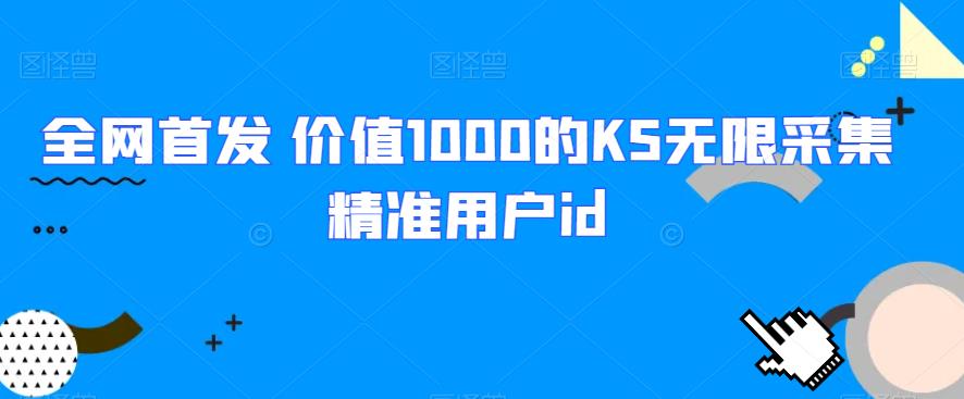 全网首发 价值1000的KS无限采集精准用户id-荒地云